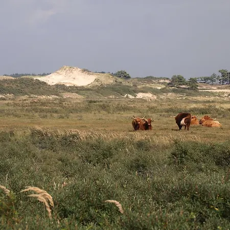 Zomerzon * Zandvoort