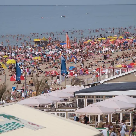 Zomerzon *